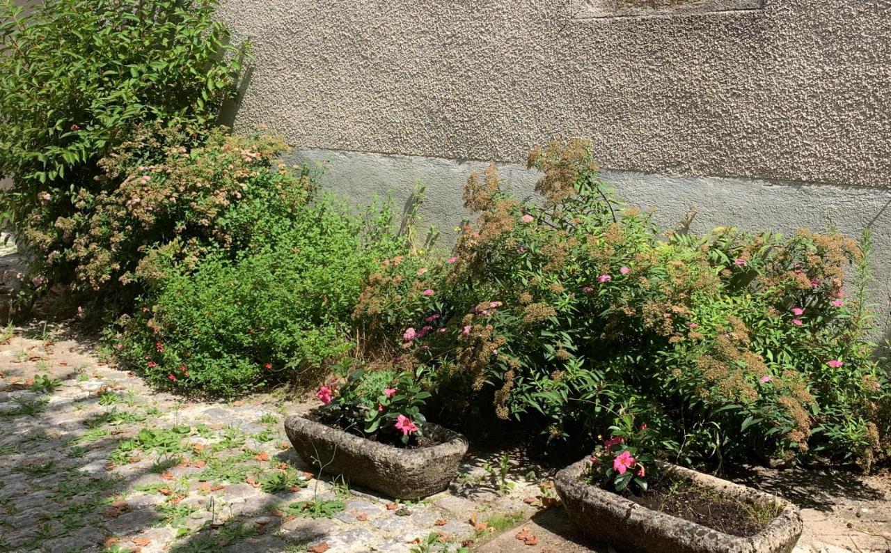 La Cour Pavée, T2 lumineux, cosy, confort 55 m2 Saint-Léonard-de-Noblat Esterno foto